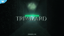 Load image into Gallery viewer, Harry Potter: Triwizard Stream Package