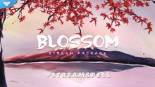 Load image into Gallery viewer, Blossom Stream Package