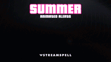 Load image into Gallery viewer, GTA: Summer Stream Package