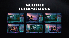 Load image into Gallery viewer, NeoNinja Stream Package