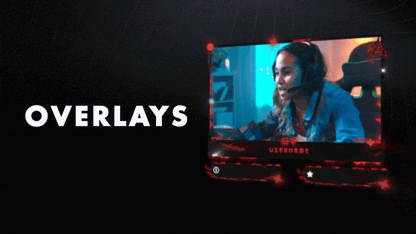 Ninja Gaiden Stream Package