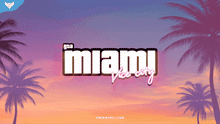 Load image into Gallery viewer, GTA: Miami Vice City Stream Package