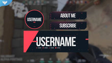 Load image into Gallery viewer, VALORANT Animated Stream Package