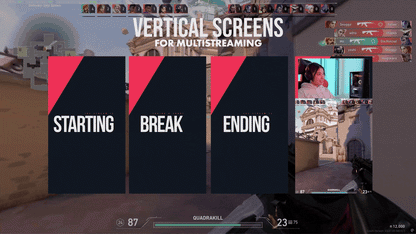 New addition to the VALORANT Animated Stream Package: vertical screens in red-and-black sci-fi style with glitch animations, perfect for vertical streaming on TikTok Live and YouTube Shorts. Features VALORANT-inspired HUD elements and clean futuristic lines. Fully compatible with OBS Studio, Streamlabs Desktop, and StreamElements.