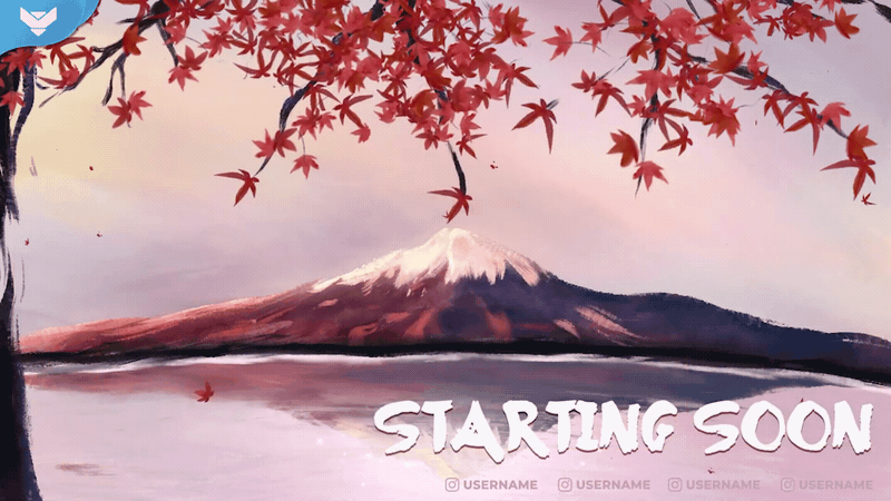 Blossom Stream Package