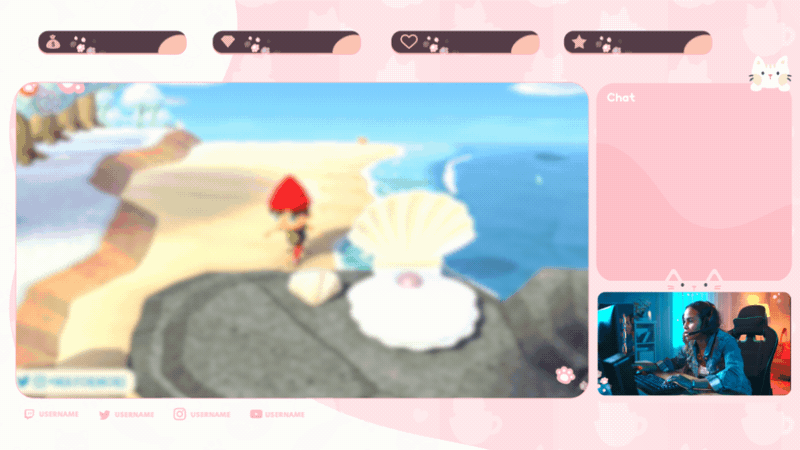 Cats Stream Package