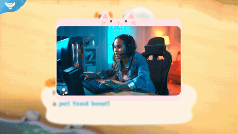 Cats Stream Package