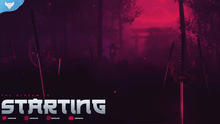 Load image into Gallery viewer, Ronin Stream Package