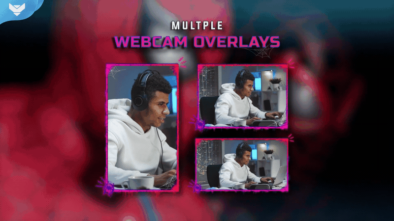 Spider City Stream Package