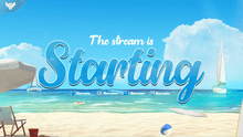 Load image into Gallery viewer, Sunny Beach Stream Package