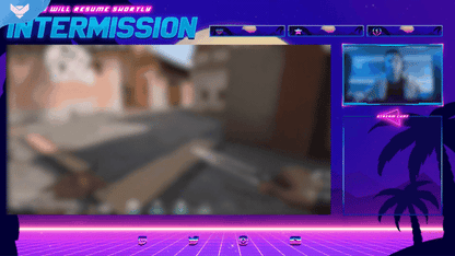 Synthwave Animated Stream Package