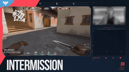 VALORANT Animated Stream Package
