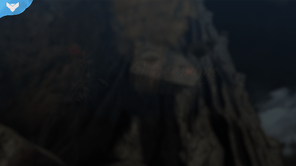 Yami Stream Package