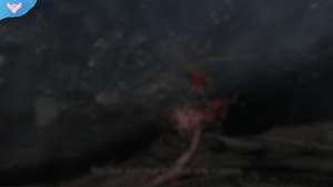 Yami Stream Package - StreamSpell