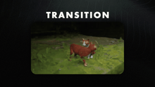 Load image into Gallery viewer, Cat Life Stream Package - StreamSpell