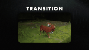 Cat Life Stream Transition for Twitch, OBS & Streamlabs - StreamSpell